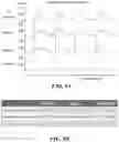 Fig. 13 - DEVICES, SYSTEMS, AND METHODS FOR TREATMENT OF DUCT OCCLUSION