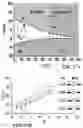 Fig. 26 - DEVICES, SYSTEMS, AND METHODS FOR TREATMENT OF DUCT OCCLUSION