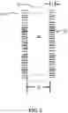 Fig. 03 - ENDOGRAFT WITH BRISTLES