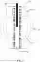 Fig. 06 - ENDOGRAFT WITH BRISTLES