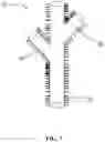 Fig. 08 - ENDOGRAFT WITH BRISTLES