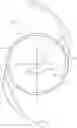 Fig. 01 - Ophthalmic lenses for balancing coma aberrations