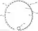 Fig. 01 - PROSTHETIC CARDIAC VALVE DELIVERY DEVICES, SYSTEMS, AND METHODS