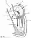 Fig. 06 - PROSTHETIC CARDIAC VALVE DELIVERY DEVICES, SYSTEMS, AND METHODS