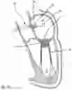 Fig. 09 - PROSTHETIC CARDIAC VALVE DELIVERY DEVICES, SYSTEMS, AND METHODS