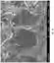 Fig. 03 - BIOCOMPATIBLE STRUCTURE, AND FABRICATING METHODS AND APPLICATIONS OF SAME