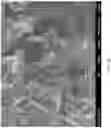 Fig. 05 - BIOCOMPATIBLE STRUCTURE, AND FABRICATING METHODS AND APPLICATIONS OF SAME