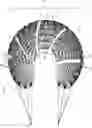 Fig. 01 - COMPOSITE IMPLANT FOR TOTAL MENISCUS RECONSTRUCTION