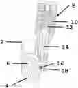 Fig. 01 - JOINT FOR AN ORTHOPEDIC DEVICE
