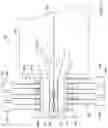 Fig. 12 - MEDICAL DEVICE LOADING TOOL