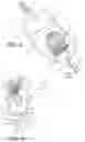 Fig. 05 - Loading systems for collapsible prosthetic heart valve devices and methods thereof