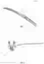 Fig. 02 - DEVICE FOR PREVENTING SLEEP APNEA AND SNORING