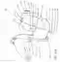 Fig. 21 - ADAPTIVE ARM SUPPORT SYSTEMS AND METHODS FOR USE