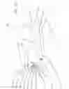 Fig. 37 - ADAPTIVE ARM SUPPORT SYSTEMS AND METHODS FOR USE