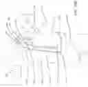 Fig. 43 - ADAPTIVE ARM SUPPORT SYSTEMS AND METHODS FOR USE