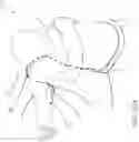 Fig. 46 - ADAPTIVE ARM SUPPORT SYSTEMS AND METHODS FOR USE
