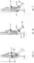 Fig. 07 - DEVICE FOR ASSISTING MOTION OF A JOINT