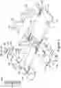 Fig. 11 - DEVICE, BODY, METHOD AND SYSTEM FOR HEALTH-CARE