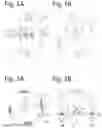 Fig. 02 - Disc for a medicine unit delivery device, medicine unit delivery device comprising such disk, and method for configuring a medicine unit delivery device