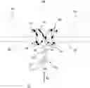 Fig. 01 - Enteral Nutrition Gastronomy Access Device