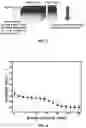 Fig. 04 - Dental bulk block and method of manufacturing same