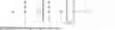 Fig. 04 - Hair care compositions comprising hydroxylated triglyceride oligomers