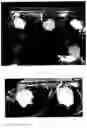Fig. 08 - ACID RESISTANT COMPOSITION HAVING IMPROVED SOLUBILITY