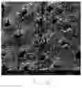 Fig. 11 - ACID RESISTANT COMPOSITION HAVING IMPROVED SOLUBILITY