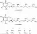 Fig. 01 - Nail Glue Composition
