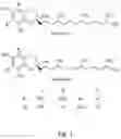 Fig. 02 - Nail Glue Composition