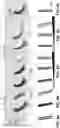 Fig. 07 - ARTIFICIAL MELANIN NANOPARTICLES AND PRECURSOR MOLECULES AS HAIR DYES