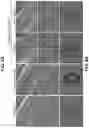 Fig. 11 - ARTIFICIAL MELANIN NANOPARTICLES AND PRECURSOR MOLECULES AS HAIR DYES