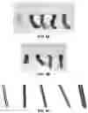 Fig. 14 - ARTIFICIAL MELANIN NANOPARTICLES AND PRECURSOR MOLECULES AS HAIR DYES