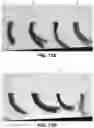 Fig. 21 - ARTIFICIAL MELANIN NANOPARTICLES AND PRECURSOR MOLECULES AS HAIR DYES