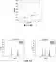 Fig. 24 - ARTIFICIAL MELANIN NANOPARTICLES AND PRECURSOR MOLECULES AS HAIR DYES