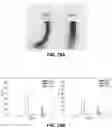 Fig. 25 - ARTIFICIAL MELANIN NANOPARTICLES AND PRECURSOR MOLECULES AS HAIR DYES