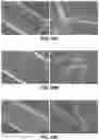 Fig. 31 - ARTIFICIAL MELANIN NANOPARTICLES AND PRECURSOR MOLECULES AS HAIR DYES