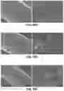 Fig. 32 - ARTIFICIAL MELANIN NANOPARTICLES AND PRECURSOR MOLECULES AS HAIR DYES