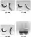 Fig. 66 - ARTIFICIAL MELANIN NANOPARTICLES AND PRECURSOR MOLECULES AS HAIR DYES