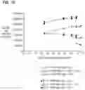 Fig. 11 - PERSONAL CLEANSING COMPOSITIONS, METHODS AND USES