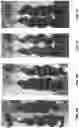 Fig. 07 - SILK HAIR CARE COMPOSITIONS