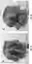 Fig. 09 - SILK HAIR CARE COMPOSITIONS