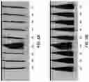 Fig. 03 - COMPOSITIONS AND METHODS FOR TREATING KERATIN FIBERS