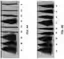 Fig. 06 - COMPOSITIONS AND METHODS FOR TREATING KERATIN FIBERS