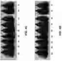 Fig. 07 - COMPOSITIONS AND METHODS FOR TREATING KERATIN FIBERS