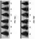 Fig. 15 - COMPOSITIONS AND METHODS FOR TREATING KERATIN FIBERS