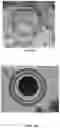 Fig. 13 - LIPID BODY COMPOSITIONS, PRODUCTS MADE THEREFROM, METHODS OF MAKING SAME, AND METHODS OF USE