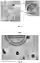 Fig. 16 - LIPID BODY COMPOSITIONS, PRODUCTS MADE THEREFROM, METHODS OF MAKING SAME, AND METHODS OF USE