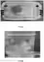 Fig. 19 - LIPID BODY COMPOSITIONS, PRODUCTS MADE THEREFROM, METHODS OF MAKING SAME, AND METHODS OF USE