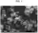 Fig. 02 - DRY POWDER FORMULATIONS CONTAINING LEUCINE AND TRILEUCINE